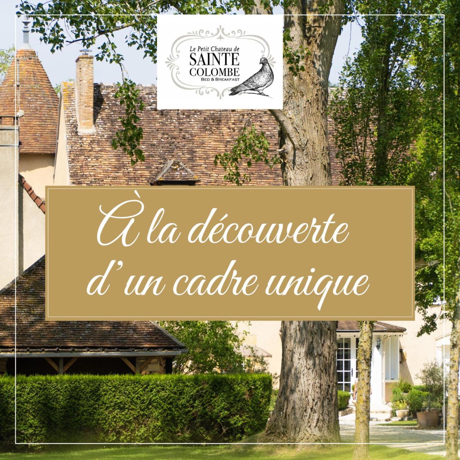 Le Petit Chateau De Sainte Colombe Bouges-le-Chateau Екстер'єр фото